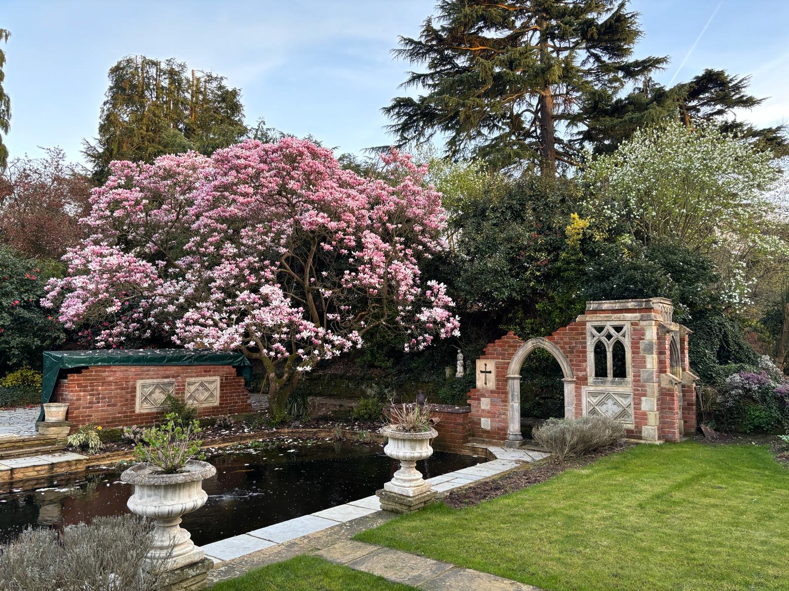 A serene garden scene with a large blooming pink magnolia tree beside a decorative brick gothic folly, overlooking a calm pond and ornate stone planters